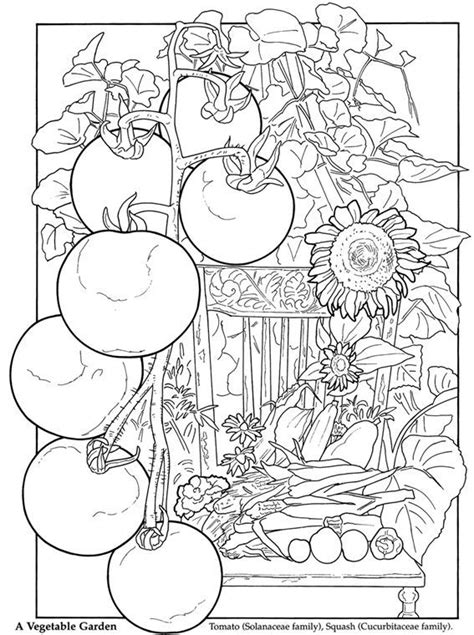 vegetable garden coloring pages sketch coloring page