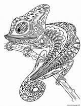 Mandala Coloring Pages Chameleon Printable Print sketch template
