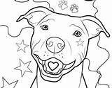 Coloring Pitbull Pages Bull Dog Printable Color Print Getcolorings sketch template