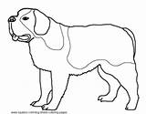 Coloring Pages Bernard Saint Bichon Frise Printable Dog Template Getdrawings sketch template