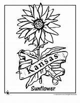 Coloring Kansas Pages Flower State Kids Jr Woojr Printables Choose Board Woo Activities Mountain sketch template