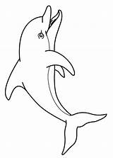 Delfini Delfino Stampare Animali Pianetabambini sketch template