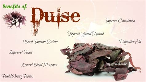 top 11 benefits of dulse for health hair and skin