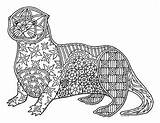 Otter Coloring Sea Zentangle Preview sketch template