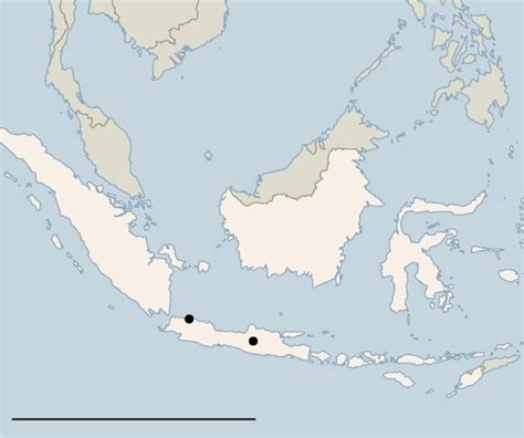 indonesia police arrest 141 men accused of having gay sex