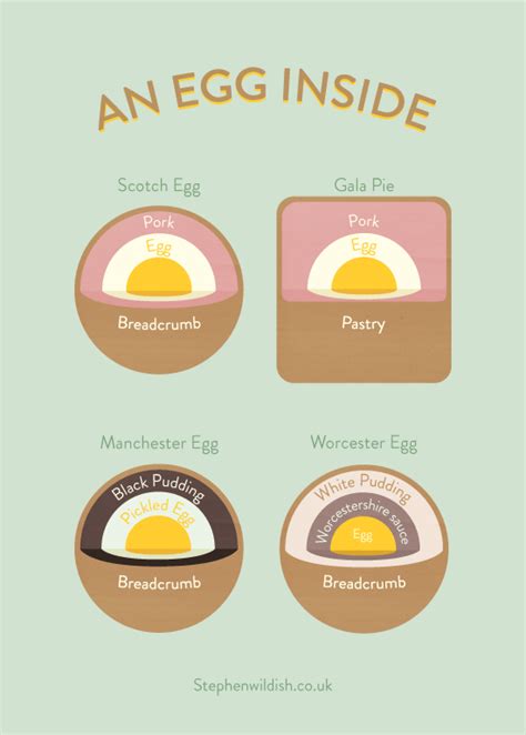 egg  infographic infographic list