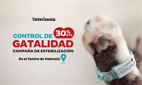 🏅campaña Esterilización Gatos Valencia Veterizonia