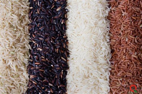 yuk kenali jenis jenis beras kandungan  kegunaannya agrozine