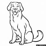 Labrador Lab Coloring Retriever Golden Dog Pages Dogs Yellow Drawing Puppy Line Color Chocolate Thecolor Colouring Sitting Draw Printable Sticking sketch template