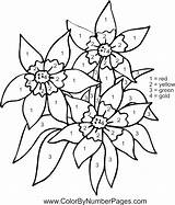 Number Color Flower Coloring Pages Printable Numbers Adult Getcolorings Easy Popular する Doghousemusic 選択 ボード sketch template