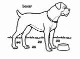 Boxer Coloring Dog Pages Empty Bowl Template Sheets Color Print Printable Button Using sketch template
