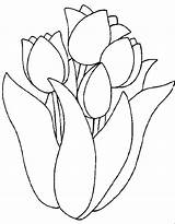 Tulipanes Lalele Moldes Colorat Tulipe Flori Riscos Colorear Bordar Desene Tulipas Planse Plantillas Qbebe Tulipes Coloriages Tulips Blancodesigns sketch template