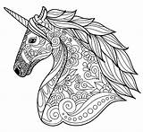 Unicorn Coloring Detailed Comment First Book sketch template
