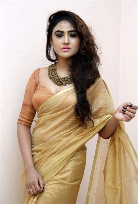 Telugu Actress Sony Charishta Hot In Saree Photos Telugu