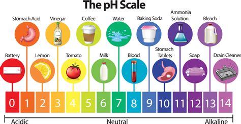 signs   unbalanced water ph levels water