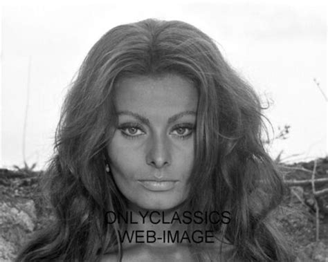 Sexy Brunette Actress Sophia Loren Beautiful Hair 8x10 Photo Pinup