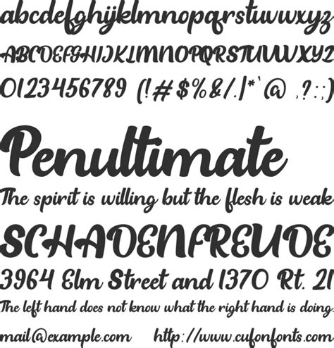 Beach Party Font Download Free For Desktop And Webfont