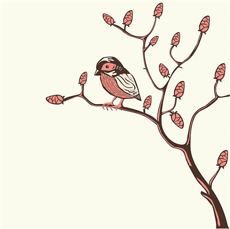 230 asian tit illustrations royalty free vector graphics and clip art
