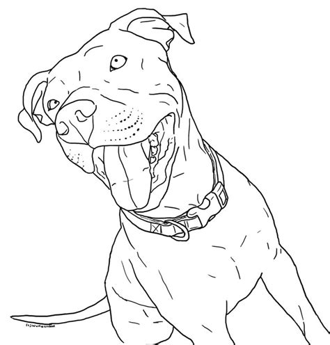 print  amazing coloring page pitbull dog coloring