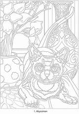 Coloring Doverpublications Color Dover Publications Number Haven Creative Book Cats Books Pages Welcome Titles Browse Complete Catalog Over Adult sketch template