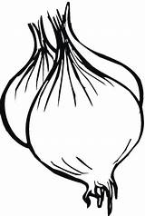 Onions Onion Supercoloring sketch template