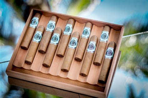 Platinum Nova Cigars Cigar Sales Delray Beach Fl