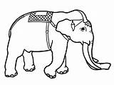 Elephant Coloring Pages Asian Drawing Funny Decorative Color Next Clipartqueen sketch template