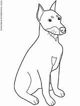 Doberman Coloring Pages Dog Pinscher Drawing Colouring Mean Getcolorings Kids Getdrawings sketch template