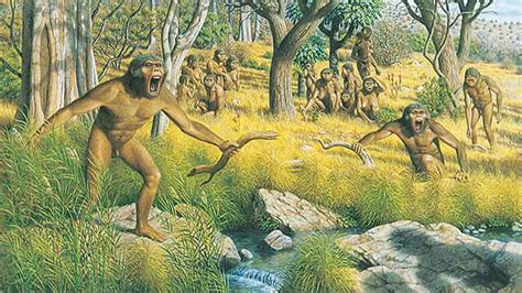 la alimentacion de los hominidos humanidad alfa
