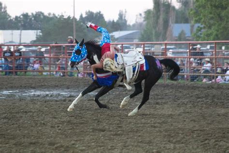 colorado cowgirls performance team returns to the brush rodeo the