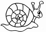 Snail Coloring Pages Kids Snails Printable Animal Clipart Printables 595px 92kb sketch template