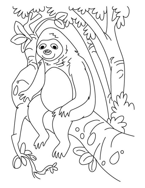 sloth coloring pages coloring home