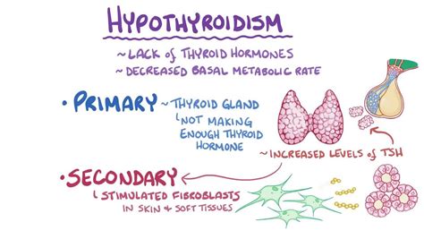 Hypothyroidism Video Anatomy Definition And Function Osmosis