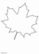Kids Templates Leaf Maple Print Elolvasom Craft sketch template
