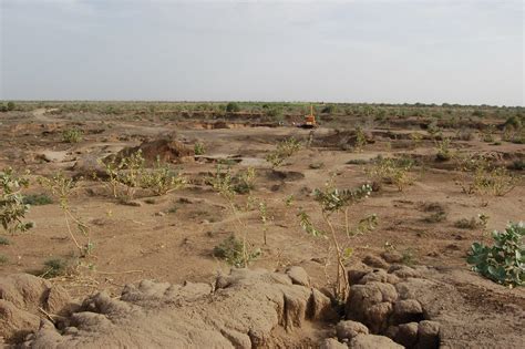 incredible   solve  problem  land degradation  rawax