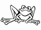 Makayla Frösche Tiere Frog sketch template
