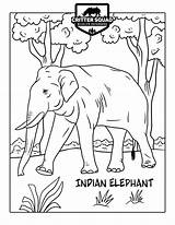 Elephant Indian Coloring sketch template