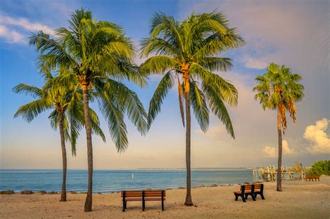 palm trees  beach  bench florida keys fine art print