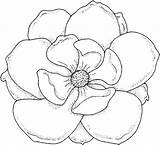 Bunga Mewarnai Fleur Malvorlagen Mycoloringpages Blume Jasmins Boook Besuchen Sobat Melati Kumpulan sketch template
