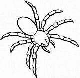 Coloring Spider Pages Dangerous Animals Coloring4free Colouring Kids Printable Print Netart Color Animal Spide Legs Body Drawing sketch template