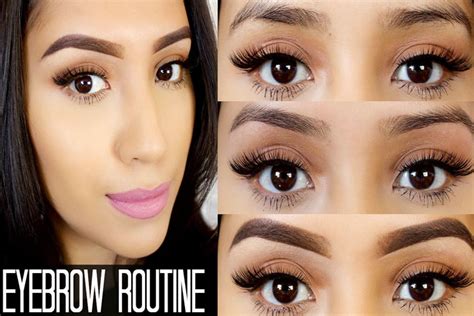 eyerbrow shapes