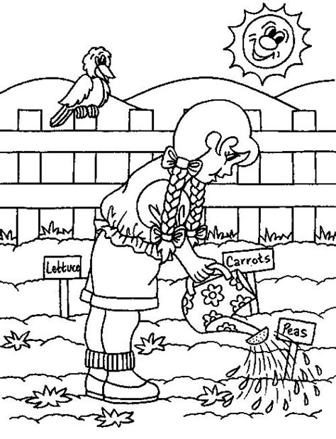 images  coloring pages  pinterest gardens digital