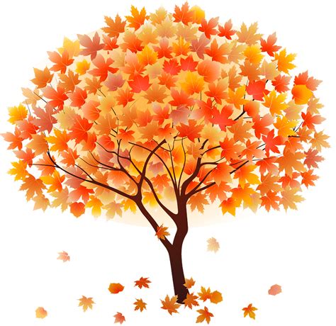 transparent fall tree clip art
