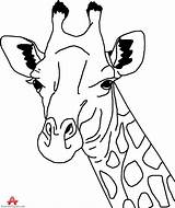 Giraffe Outline Drawing Clipart Head Drawings Neck Pencil Animal Color Clip Coloring Cliparts Draw Painting Pages Google Group Traceable Library sketch template