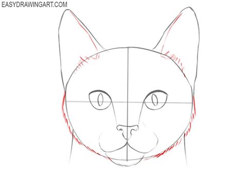 How To Draw A Cat Face Easy Drawing Art Cat Face Drawing Simple Cat