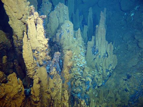 cheminees hydrothermales occupees par des especes endemiques
