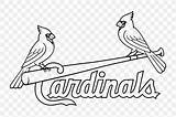 Cardinals Baseball Fredbird Uniforms Fred Cubs sketch template
