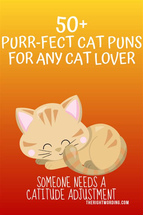 50 hiss terically purr fect cat puns for any cat lover