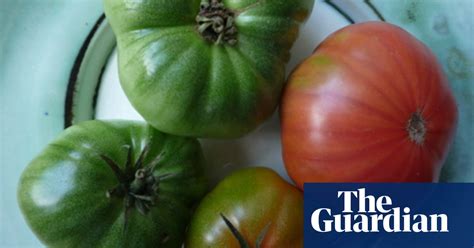Nigel Slater S Fried Green Tomatoes Gardening Advice The Guardian