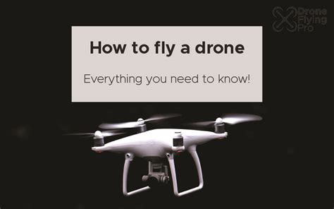 fly  drone       fly   pro